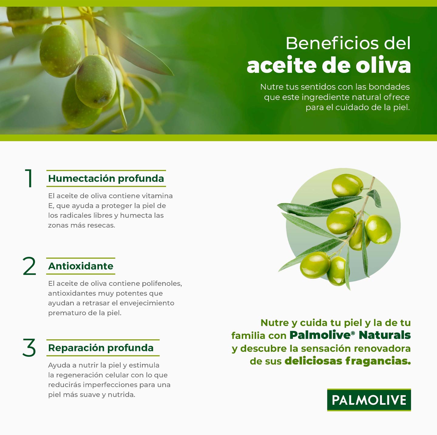 Usos Y Beneficios Del Aceite De Oliva Para Tu Piel Palmolive